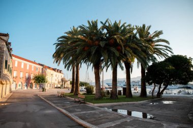 Hırvat kıyı kasabasında palmiye ağaçları renkli binalar ve arka planda bir liman bulunan pitoresk bir meydanda.