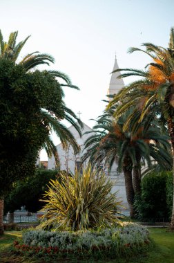 Güneşli bir günde bereketli palmiye ağaçları ve manikürlü bahçelerle çerçevelenmiş beyaz bir kilise kulesinin resimli görüntüsü.