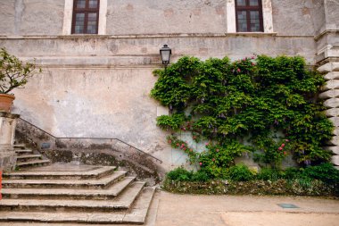 Taş merdiven ve yemyeşil sarmaşık Tivoli, İtalya 'daki Villa d' Este 'de tarihi bir binaya tırmanıyor.