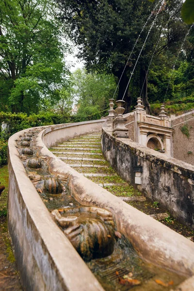 İtalya 'nın Tivoli kentindeki Villa d' Este 'deki yemyeşil alanda çağlayan bir çeşmesi olan tarihi bir taş merdiven.
