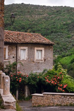 İtalya, Tivoli 'de canlı tırmanma gülleriyle bezenmiş ve yemyeşil bir yamaçta kurulmuş taştan bir ev.