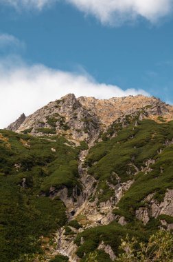Polonya 'nın Zakopane kentindeki Tatry dağlarının dramatik manzarası, açık bir günde kayalık tepeler ve yemyeşil bitkiler sergiliyor.