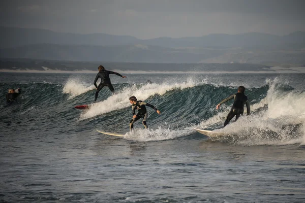 Surfistas na Rota do Jardim — Fotografia de Stock