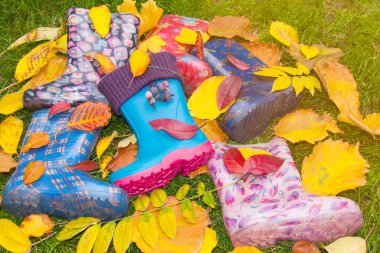 Yeşil çimlere saçılmış ve büyük sarı ve kırmızı yapraklarla çevrili çeşitli çocuk galoşlarının canlı bir görüntüsü. Yağmurlu bir sonbaharın atmosferini taşır ve yürür.