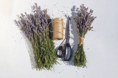 Yaratıcı çiçekçinin çalışma alanı. Taze lavanta, metal makas ve hafif bir yüzeyde doğal ip. El yapımı, hobi, eko-stil ve tatil hazırlığı kavramı.