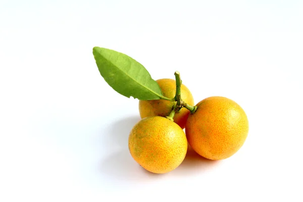 Kumquat auf weißem Hintergrund — Stockfoto