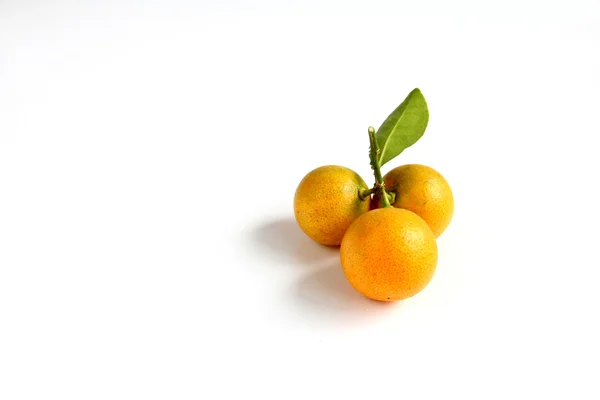 Kumquat sur fond blanc — Photo