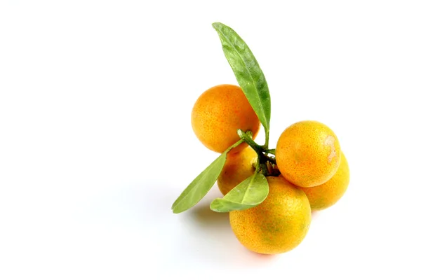 Kumquat auf weißem Hintergrund — Stockfoto