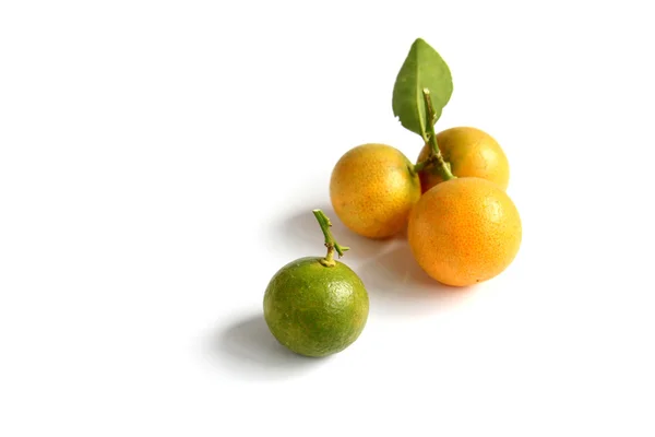 Kumquat em fundo branco — Fotografia de Stock
