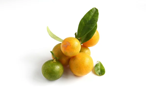 Kumquat sobre fondo blanco — Foto de Stock