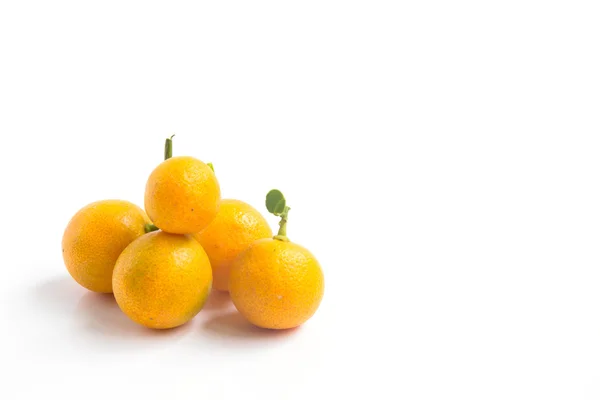 Kamquat sur fond blanc — Photo