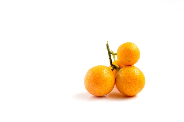 Kumquat orange placé sur fond blanc — Photo