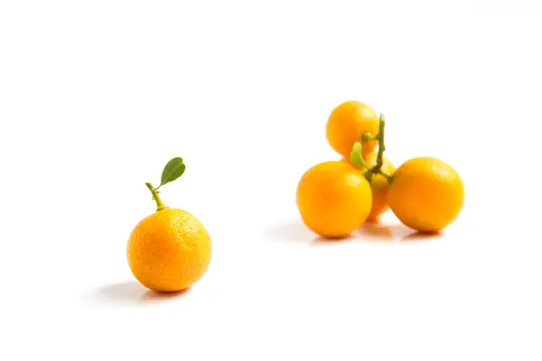 Narancs kamkvat forgalomba whte háttér — Stock Fotó