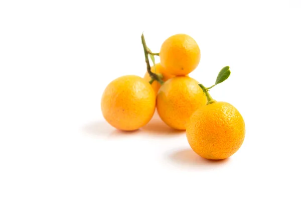 Kumquat arancione posto su sfondo bianco — Foto Stock