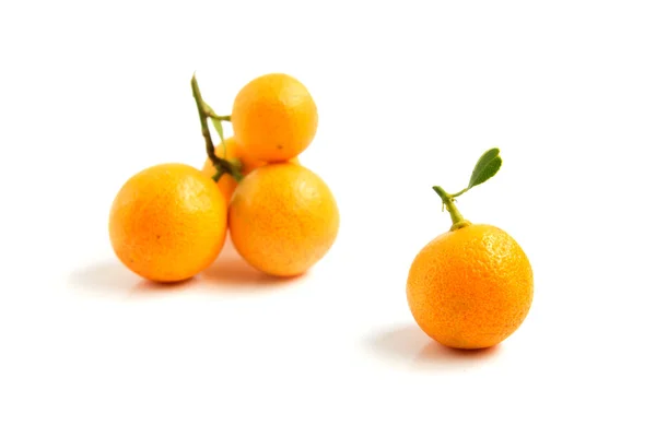 Orange Kumquat placeras på whte bakgrund — Stockfoto