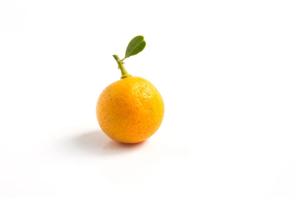 Кумкват помаранчевий розміщені на білому тлі — стокове фото