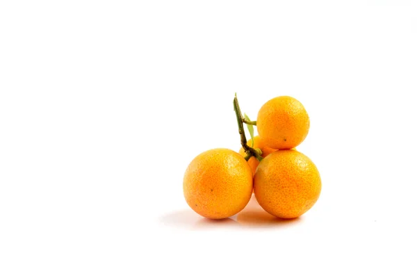 Orange Kumquat auf weißem Hintergrund — Stockfoto