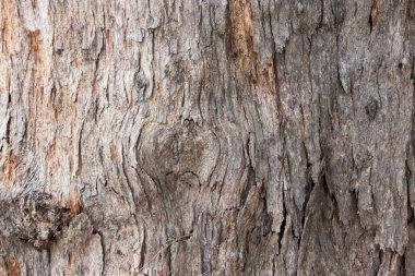 Eski kahverengi ahşap doku arka planı 