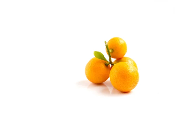 Kumquat orange placé sur fond blanc — Photo