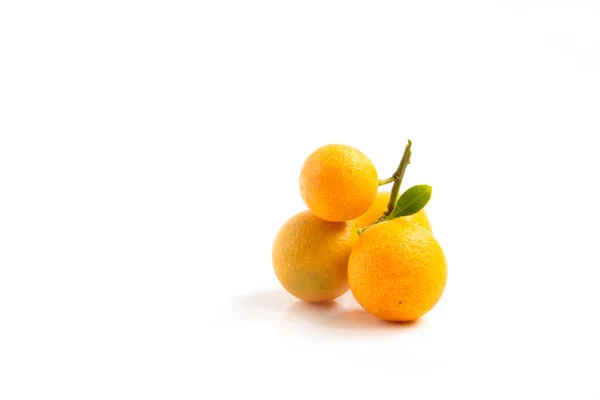Kumquat orange placé sur fond blanc — Photo
