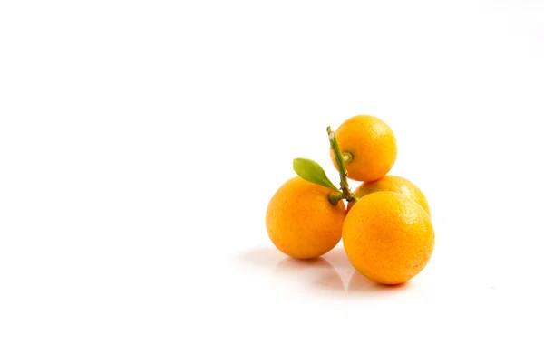 Kumquat orange placé sur fond blanc — Photo