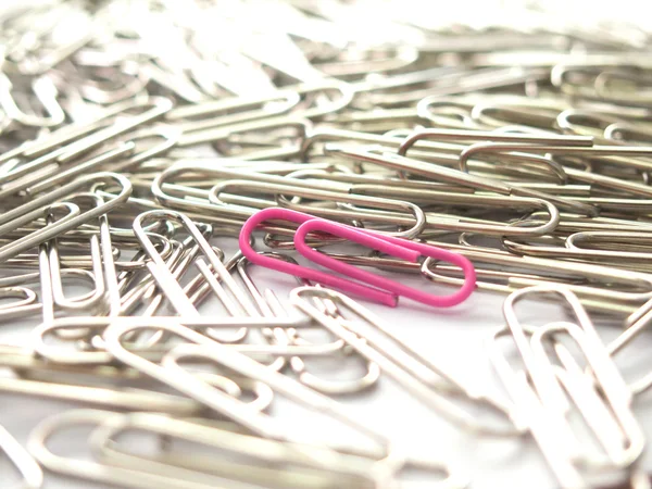 Pink paper clip show different from the others on white backgrou