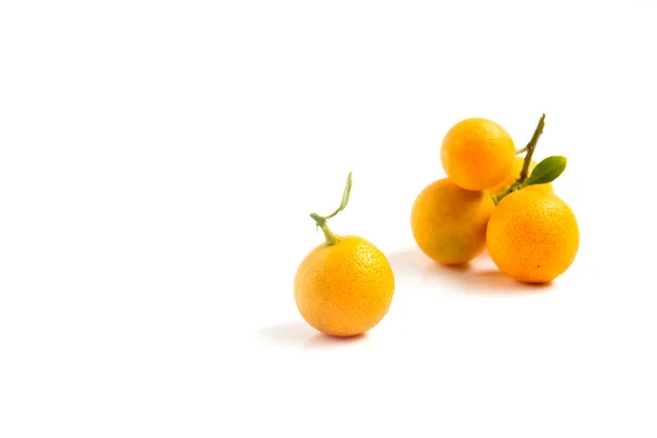 Kumquat arancione posto su sfondo bianco — Foto Stock