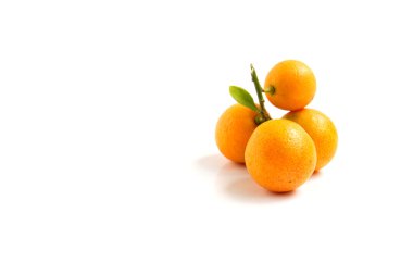 Turuncu beyaz zemin üzerine yerleştirilmiş Kamkat