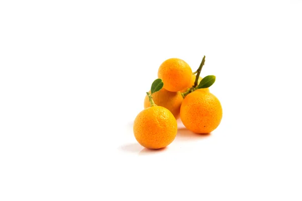 Kumquat naranja colocado sobre fondo blanco — Foto de Stock