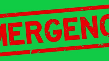 Grunge kırmızı kelime kare kauçuk mühür yeşil zoom