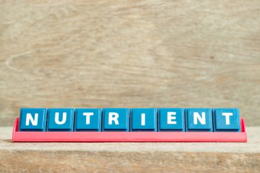 Ahşap zemin üzerinde kırmızı renk rafında kelime besin içeren döşeme alfabesi harfi