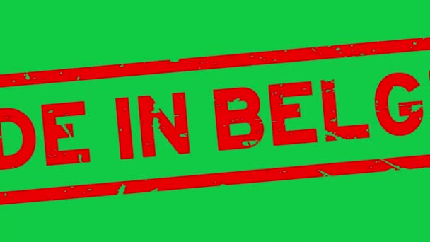 緑の背景にベルギー語のゴムシールスタンプズームで作られたグランジ赤 — ストック動画