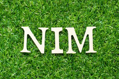 Alfabe harfi: NIM (Net faiz marjının kısaltması) yeşil çimen arka planı