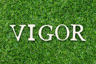 Ahşap alfabe harfi yeşil çimen arka planında kelime enerjisiyle