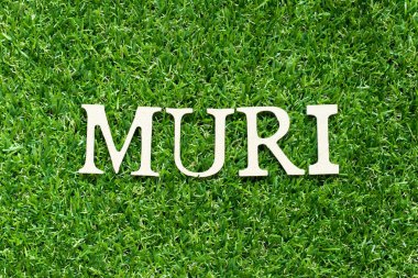 Yeşil çim arka planda kelime muri alfabe harfi