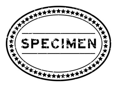 Grunge siyah örnek kelime oval lastik mühür beyaz arka planda