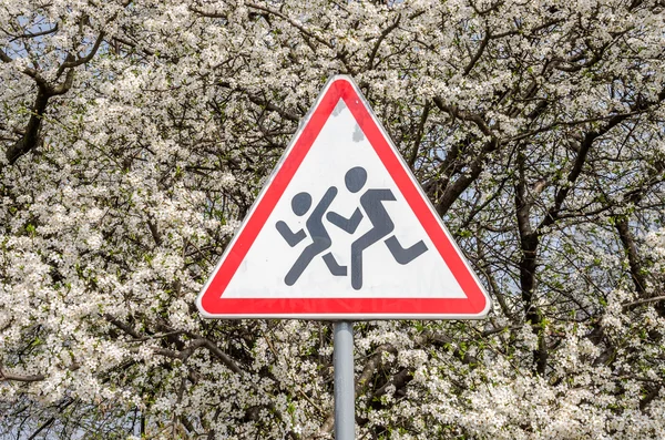 A road sign indicating the approach of a vehicle to a pedestrian crossing the road among the branches of flowering in early spring white flowers of cherry trees