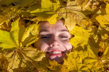 Güzel genç kız mutlu bir kadın gülümseyerek ve sarı akçaağaç tutan sonbahar Park'ta yürüyordunuz bırakır