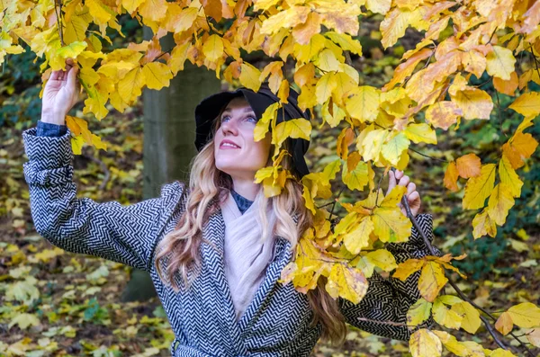 아름 다운 젊은 여 자가 웃 고 노란 단풍을 들고 행복 한 여자 단풍가 공원에서 산책 — 스톡 사진