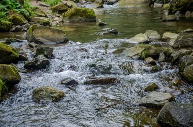 Dağ nehir şelale ve Lviv yakınındaki Skole Beskids milli parkta taşlara