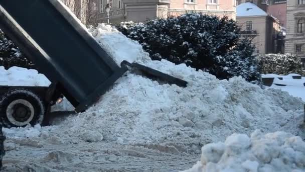 Camión Eliminación Nieve Descarga Nieve — Vídeo de stock