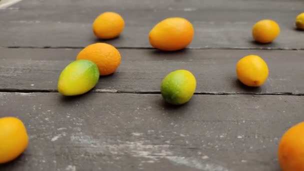 Gevallen Citrusvruchten Met Decoratieve Zelfgemaakte Mandarijn — Stockvideo