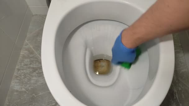 Pembantu Mencuci Mangkuk Toilet Dengan Agen Pembersih — Stok Video