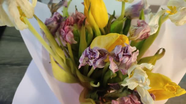 一束枯萎的郁金香花 — 图库视频影像