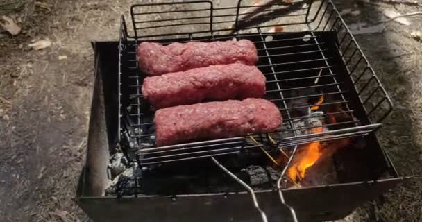 在森林里野餐时 在烤架上的篝火上烤着肉卢拉烤肉 — 图库视频影像