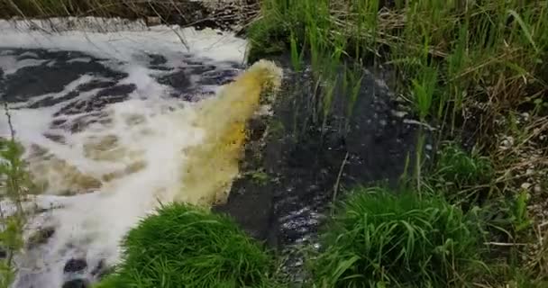 Fluxos Águas Residuais Sujas Para Rio — Vídeo de Stock