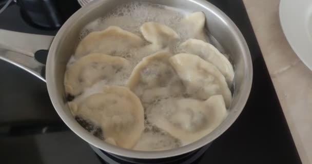 Dumplingar Kokas Kastrull Kokande Vatten — Stockvideo