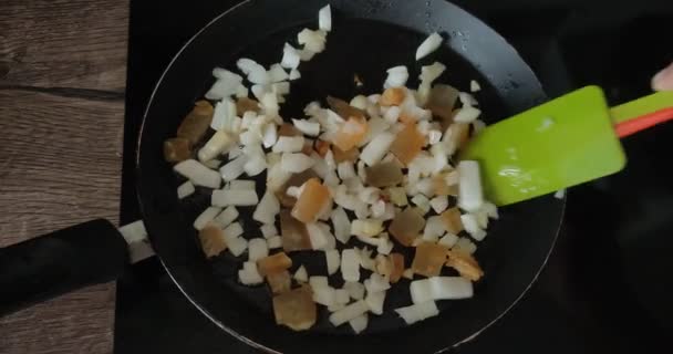 Tocino Frito Con Cebolla Cacerola Cocina Inducción — Vídeos de Stock