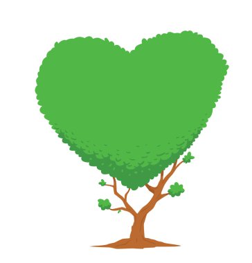 Kalp şeklinde büyük yeşil ağaç