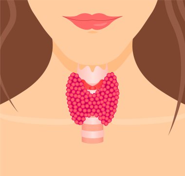 Thyroid gland on woman silhouette clipart